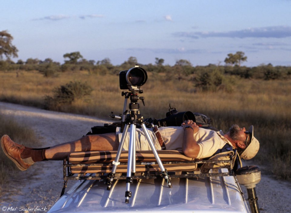 Photographer resting on Safari vehicle